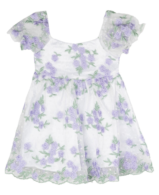 Rare Editions Baby Girls Floral Embroidered Mesh Social Dress